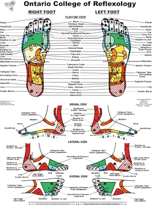 Foot Chart 